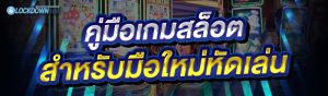 คู่มือเกมสล็อต
