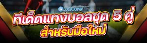 ทีเด็ดแทงบอลชุด
