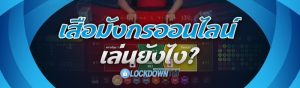 เสือมังกรออนไลน์